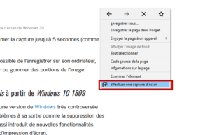 Effectuer une copie d'écran avec Mozilla Firefox