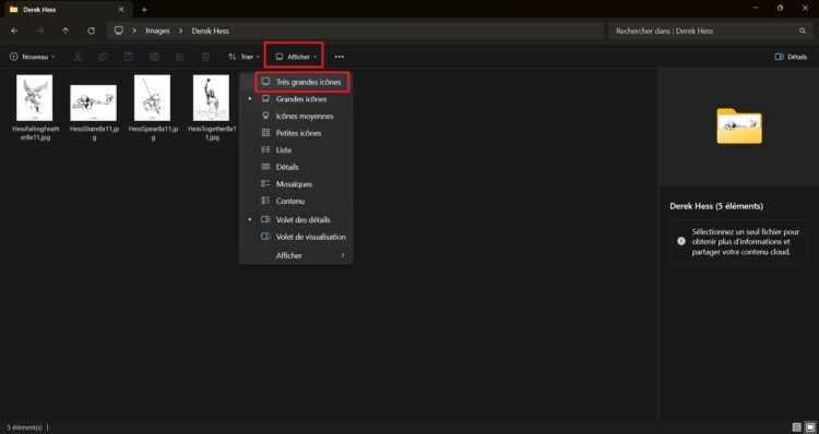 Affichage en très grandes icônes dans l'explorateur de fichiers de Windows 11