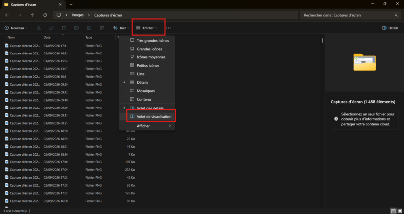 Menu Afficher de l'explorateur de fichiers Windows 11 avec l'option Volet de visualisation