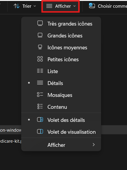 Menu Afficher de l'explorateur Windows 11 : volet de navigation, extensions de fichiers et éléments masqués