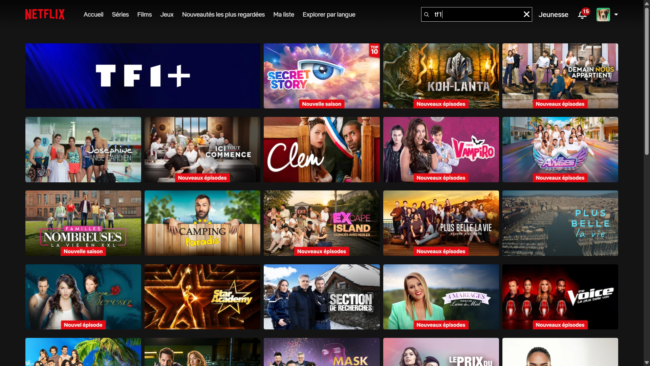 Désactiver TF1+ sur Netflix pour masquer les programmes TF1 et leurs publicités